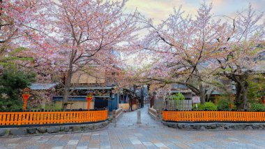 Tatsumi bashi Köprüsü Japonya 'nın Kyoto eyaletinin Gion ilçesinin ikonik yeridir. Shirakawa deresinden geçen küçük bir köprü. Hangi akarsu aslında Biwa Gölü 'nden geliyor?.
