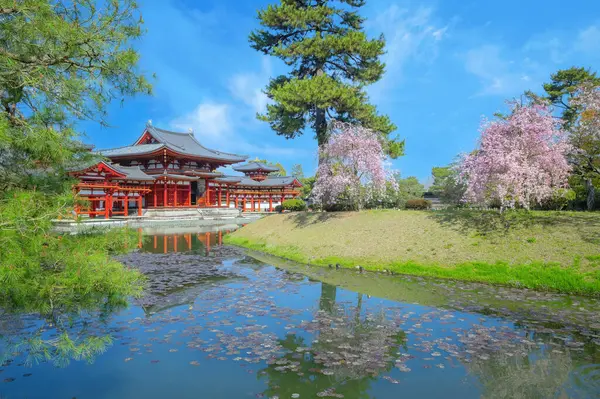 stock image The Phoenix Hall of Byodo-in Temple in Kyoto, Japan during full bloom cherry blossom in spring