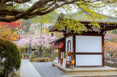 811 'de kurulan Adashino Nenbutsuji Tapınağı tepenin üstünde ve Japonya' nın başkenti Arashiyama, Kyoto 'ya biraz uzak.