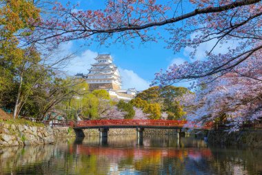 Himeji, Japonya 'daki Himeji Şatosu baharda kiraz çiçekleri açar.