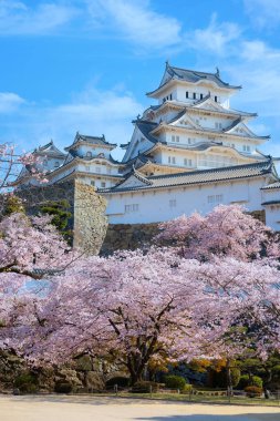 Himeji, Japonya 'daki Himeji Şatosu baharda kiraz çiçekleri açar.