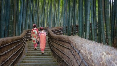 Genç Japon Geyşası Japonya 'nın Kyoto kentindeki Adashino Nenbutsuji Tapınağı' nda Bambu Korusu 'nda geziniyor.