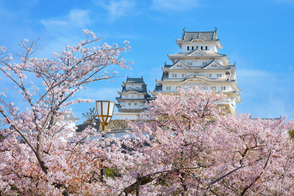 Замок Химэдзи в Химэдзи, Япония с цветущей сакурой весной
