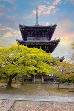 Japonya, Kyoto 'daki Shinnyodo ya da Shinshogokurakuji tapınağında güzel bir manzara.