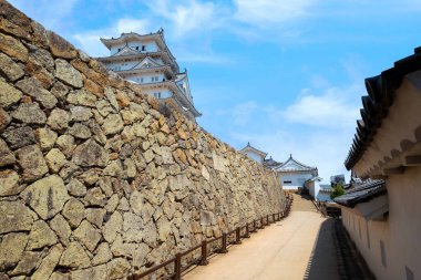 Japonya, Hyogo 'daki Himeji Şatosu baharda kiraz çiçeği açmış.