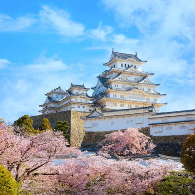 Japonya, Hyogo 'daki Himeji Şatosu baharda kiraz çiçeği açmış.