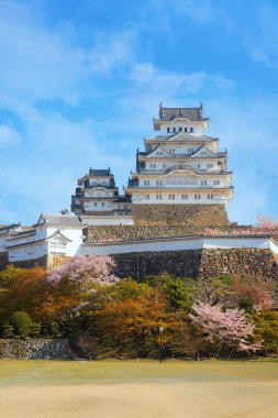 Japonya, Hyogo 'daki Himeji Şatosu baharda kiraz çiçeği açmış.