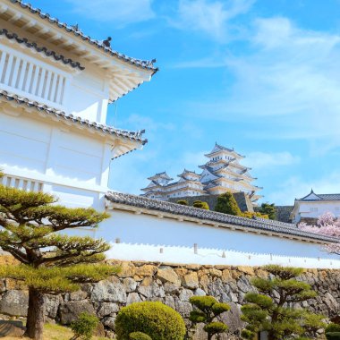 Japonya, Hyogo 'daki Himeji Şatosu baharda kiraz çiçeği açmış.