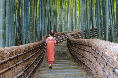 Genç Japon Geyşası Japonya 'nın Kyoto kentindeki Adashino Nenbutsuji Tapınağı' nda Bambu Korusu 'nda geziniyor.