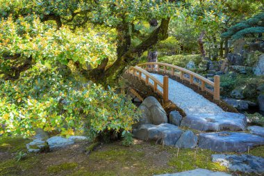 Kyoto İmparatorluk Sarayı 'nın Japon bahçesi. 