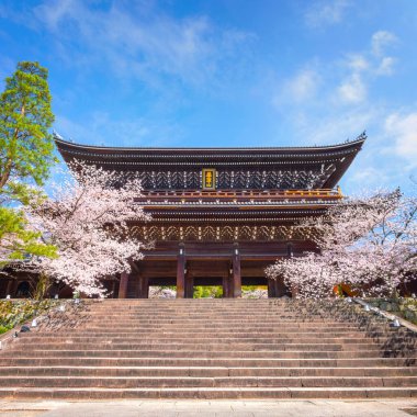 Kyoto, Japonya 'daki Chion-in tapınağında güzel bir çiçek açan kiraz çiçeği - Sakura manzaralı bahar zamanı