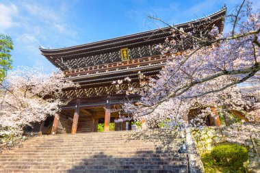 Kyoto, Japonya 'daki Chion-in tapınağında güzel bir çiçek açan kiraz çiçeği - Sakura manzaralı bahar zamanı