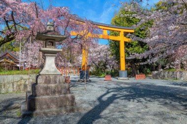 Hirano-jinja shrine is the site of a cherry blossom festival annually since 985 during the reign of Emperor Kazan, and it has become the oldest regularly held festival in Kyoto