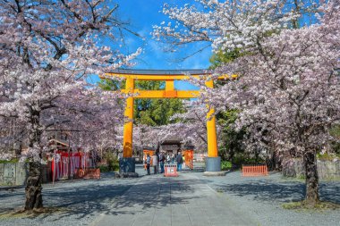 Kyoto, Japonya - 29 Mart 2023: Hirano-jinja, İmparator Kazan döneminde 985 yılından beri her yıl bir kiraz çiçeği festivaline ev sahipliği yapmaktadır ve Kyoto 'da düzenli olarak düzenlenen en eski festival olmuştur.