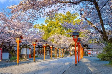 Hirano-jinja shrine is the site of a cherry blossom festival annually since 985 during the reign of Emperor Kazan, and it has become the oldest regularly held festival in Kyoto