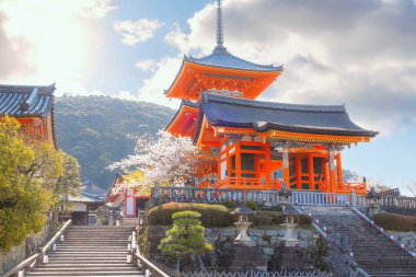 Kiyomizu-dera templein Kyoto, Japan with beauiful full bloom sakura cherry blossom in spring