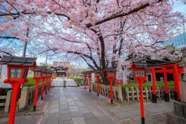 Rokusonno tapınağı 963 yılında inşa edildi, İmparator Seiwa 'nın 6. torunu MInamota no Tsunemoto' yu kutsadı. Kyoto 'daki en iyi kiraz çiçeği manzaralı yerlerden biri.