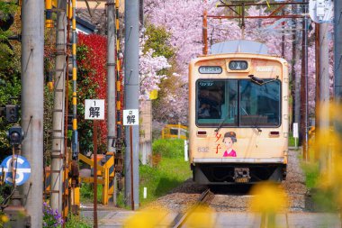 Kyoto, Japonya - 31 Mart 2023: Keifuku Tramvayı Keifuku Electric Railroad tarafından işletilmektedir. İki tramvay hattından oluşuyor ve Kyoto şehrinin batısındaki en iyi kiraz çiçeklerinden biri.