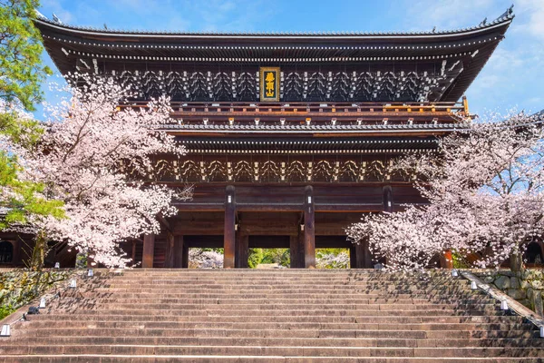 Hermosa Flor Completa Flor Cerezo Sakura Primavera Escénica Templo Chion Imagen De Stock