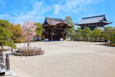 Ninnaji, Kyoto 'nun en büyük tapınaklarından biridir. Dünya Mirası Listesi Omuro Kirazları ile ünlüdür. Geç açan kiraz ağaçları..