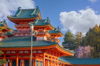 Japonya, Kyoto 'daki Heian Jingu Tapınağı' nda güzel bir çiçek açmış.