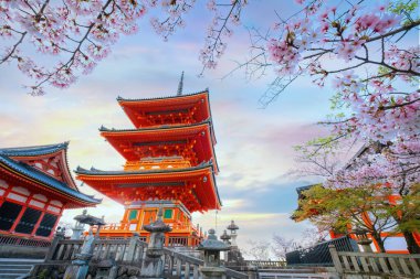 Japonya 'nın Kyoto kentindeki Kiyomizu-dera tapınağında bahar aylarında kiraz çiçekleri açar.