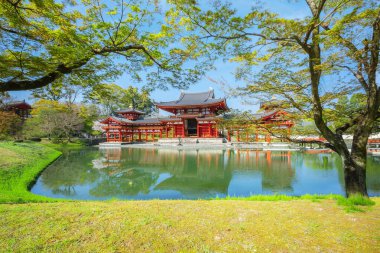 Japonya 'nın Kyoto kentindeki Phoenix Byodo-in Tapınağı' nda bahar aylarında kiraz çiçekleri açar.