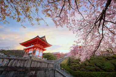 Kiyomizu-dera, Kyoto 'nun doğusunda bulunan bir Budist tapınağıdır. Antik Kyoto UNESCO Dünya Mirası Anıtı 'nın bir parçasıdır.