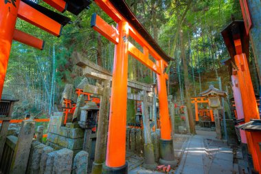 Fushimi Inari-taisha tapınağı, Japonya 'nın Kyoto şehrinde binlerce torii kapısının oluşturduğu bir yolun simgesi.