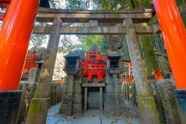 Fushimi Inari-taisha tapınağı, Japonya 'nın Kyoto şehrinde binlerce torii kapısının oluşturduğu bir yolun simgesi.