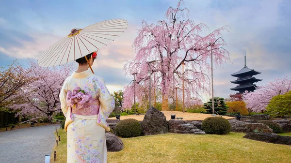 Mujer Japonesa Joven Vestido Tradicional Kimono Con Flor Cerezo Templo Imagen De Stock