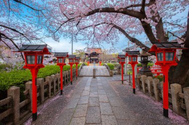 Rokusonno tapınağı 963 yılında inşa edildi, İmparator Seiwa 'nın 6. torunu MInamota no Tsunemoto' yu kutsadı. Kyoto 'daki en iyi kiraz çiçeği manzaralı yerlerden biri.