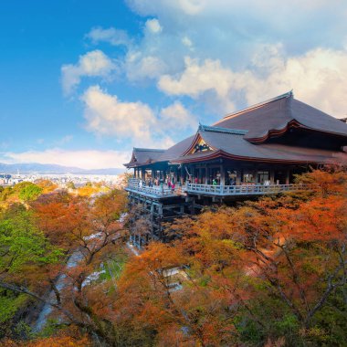 Kiyomizu-dera tapınağı gündoğumu tam çiçek açarken Japonya, Kyoto 'da kiraz çiçeği