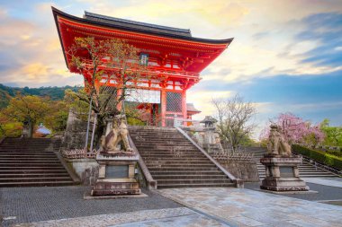 Kiyomizu-dera tapınağı gündoğumu tam çiçek açarken Japonya, Kyoto 'da kiraz çiçeği