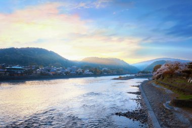 Uji, Kyoto, Japonya 'da kiraz çiçekleri açan Uji Parkı.
