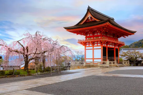 Kiyomizu-dera tapınağı gündoğumu tam çiçek açarken Japonya, Kyoto 'da kiraz çiçeği