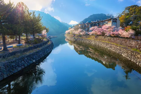 Uji, Kyoto, Japonya 'da kiraz çiçekleri açan Uji Parkı.