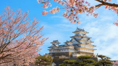 Japonya, Hyogo 'daki Himeji Kalesi' nde çiçek açan manzara.