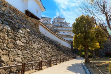 Japonya, Hyogo 'daki Himeji Kalesi' nde çiçek açan manzara.