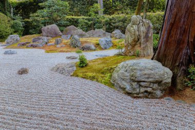 Japonya, Kyoto 'daki Shinnyodo Tapınağı' ndaki Japon Bahçesi.