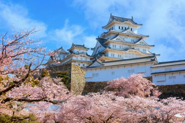 Japonya, Hyogo 'daki Himeji Kalesi' nde çiçek açan manzara.