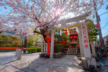 Tatsumi Daimyojin Tapınağı Japonya 'nın Kyoto eyaletinin Gion ilçesinde Tatsumu bashi köprüsü yakınlarında yer almaktadır.