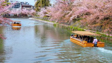 Kyoto, Japonya - 2 Nisan 2023: Okazaki Jikkokubune Boat Ride Nanzenji tekne iskelesinden Ebisu Barajı 'na ve gidiş dönüş yolculuğuna üç kilometre mesafede.