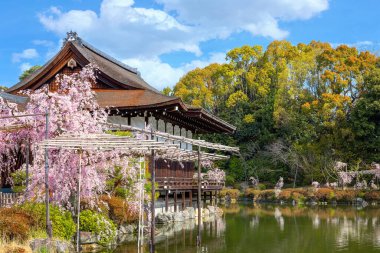Heian Jingu Bahçesi Heian Tapınağı, Kyoto, Japonya 'da çiçek açarken