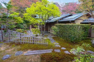 Japonya, Kyoto 'daki Shinnyodo Tapınağı' ndaki Japon Bahçesi.
