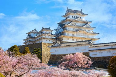 Japonya, Hyogo 'daki Himeji Kalesi' nde çiçek açan manzara.