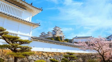 Japonya, Hyogo 'daki Himeji Kalesi' nde çiçek açan manzara.