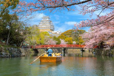 Japonya, Hyogo 'da kiraz çiçekleri açarken Himeji kalesi tekne turu.
