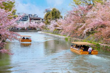 Okazaki Jikkokubune Tekne Turu Okasaki Kanalı, Heian-jingu Tapınağı, oto, Japonya