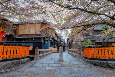 Japonya 'nın Kyoto şehrinde çiçek açan kiraz çiçeğiyle Gion semtinde Tatsumi bashi köprüsü